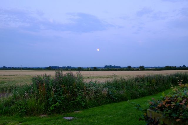 full moon in the distance